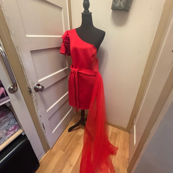 Red One-Shoulder Ruffle Dress - Picture 7 of 7